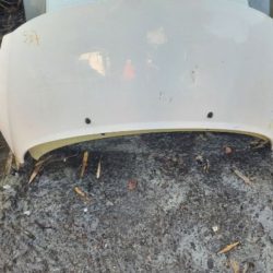 Capot Peugeot 207 Année : 2007