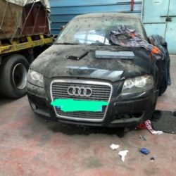 Pièces Audi A3 TDI Année : 2006