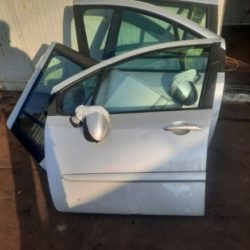 Porte + Rétroviseur Avant Arrière Renault Modus Année: 2008
